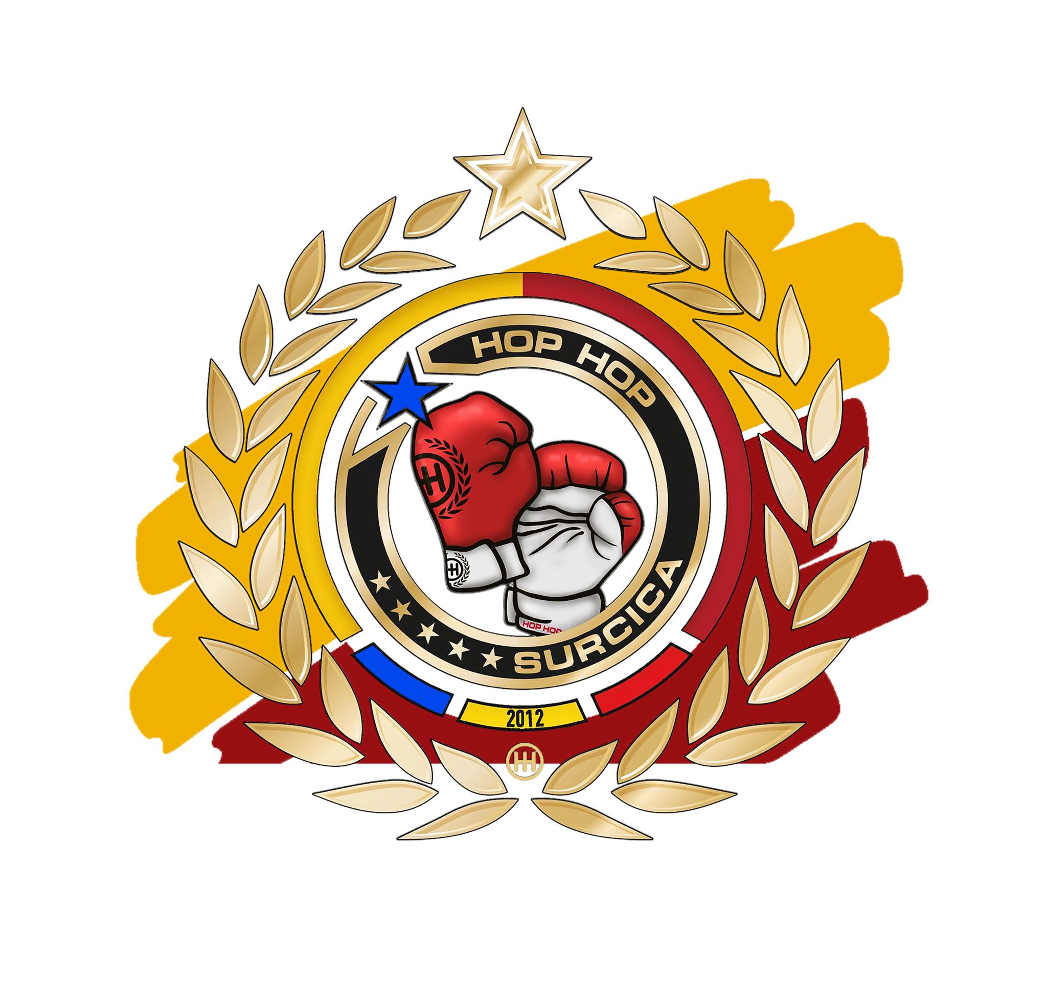 boxing-competitions-club-de-boxa-hop-hop